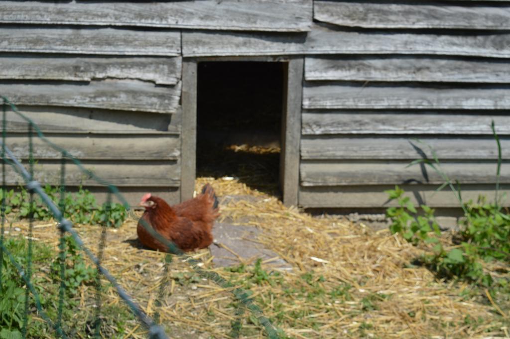 Au Passage Des Grues Bed & Breakfast Drosnay Екстериор снимка